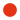 Local dealers