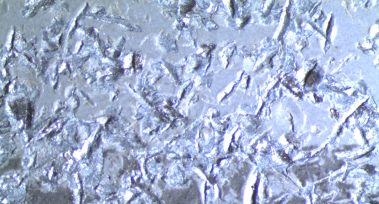 Durch Steinschlag geschädigte KTL